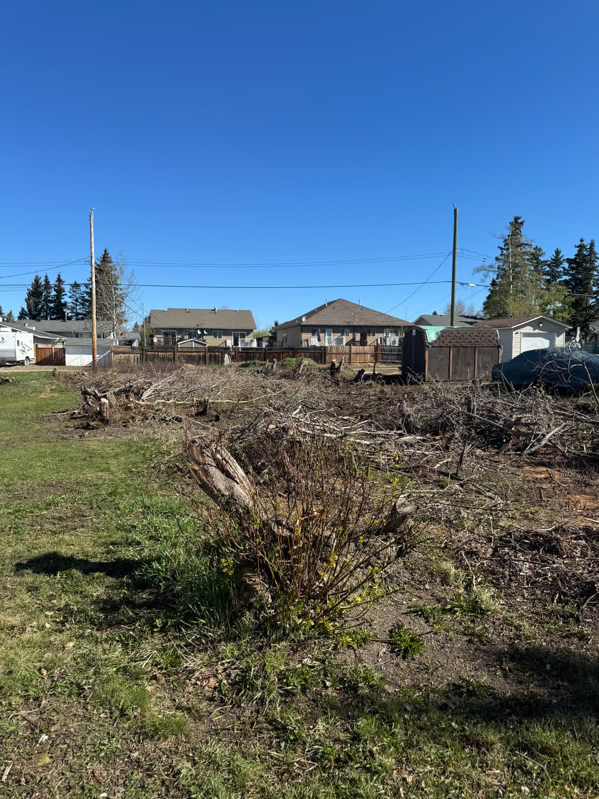 Overgrown lot with brush piles and stumps before clearing
